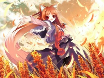 Muryou Anime Wallpaper Spice And Wolf Horo