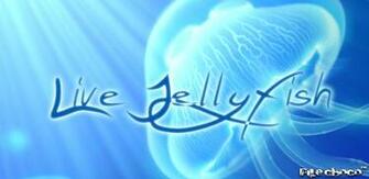Live Jellyfish V1 Apk