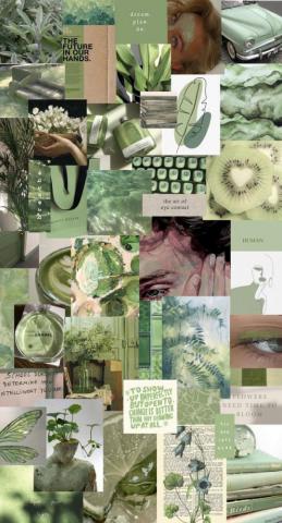Green Collage Wallpaper Sage Dark