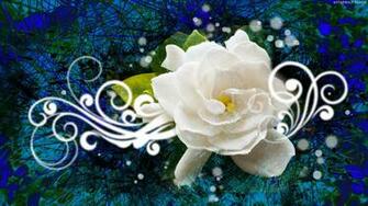 Abstract Flowers Best Widescreen Background Awesome HD Wallpaper Of