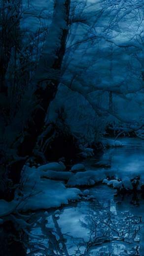 Winter Night Moto E Wallpaper