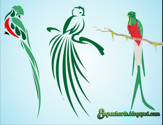 Guatemalan Quetzal Bird Wallpaper El Simbolo Nacional De