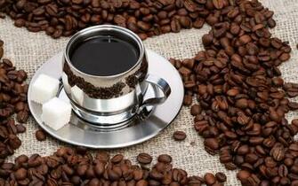 Coffee Cup HD Wallpaper Beans Desktop