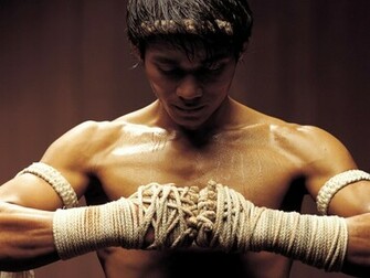 Martial Arts Computer Wallpaper Desktop Background Id