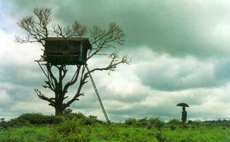Amazing Tree House Wallpaper