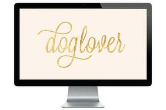 Desktop Wallpaper Pretty Fluffy Dog Lovers Background