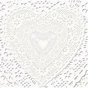 Faux White Lace Fabric Background Acrylic Cut Out