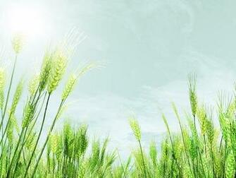 Prairie Wind Design