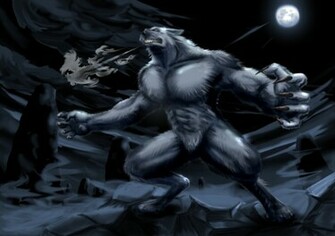 Furry Wallpaper