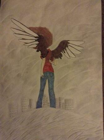 Maximum Ride By Tmntdongirl132