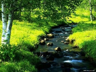 Nature Wallpaper Wonderful Lush Summer Scene