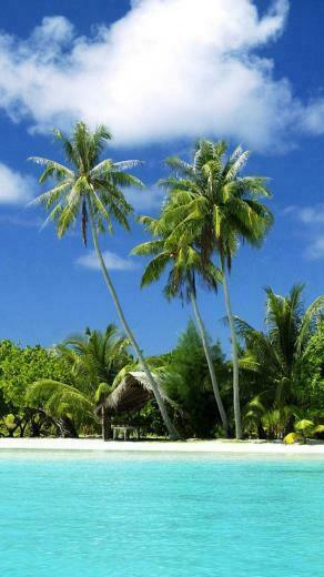 Casual Tropical Beach iPhone Wallpaper Background And