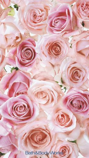 Bath Body Works On Now Trending Rose In Flower