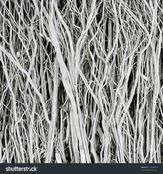 Photo Twigs Background Tree Fence