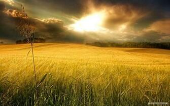 Pics Photos Nature Landscape Wallpaper And For Windows
