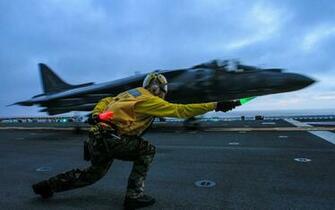 Harrier Wallpaper