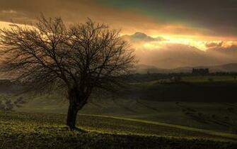 Filesize 443k Country Desktop Wallpaper