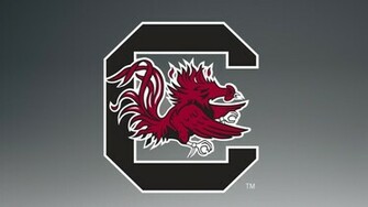 South Carolina Gamecocks College Football Wallpaper Background