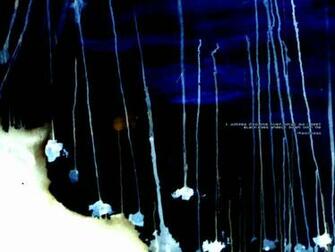 Showing Gallery For Radiohead Desktop Wallpaper