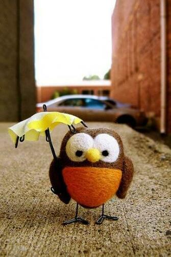 Owl Cartoon iPhone HD Wallpaper