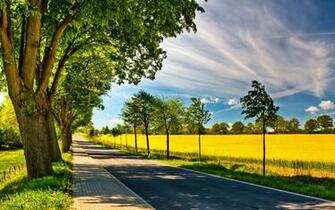 Spring Road Desktop Pc And Mac Wallpaper