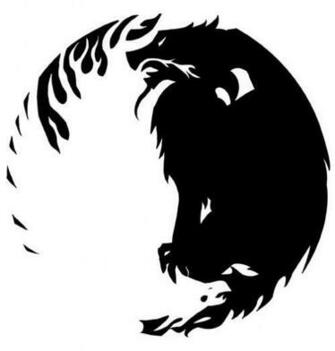 White And Black Dragons Wallpaper By