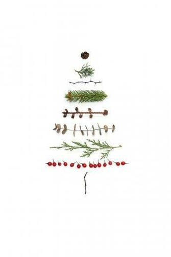 Happy Holidays Still Mary Jo Hoffman In Christmas Phone