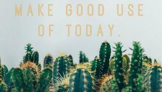 Cactus Wallpaper And Background Image Net