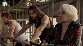Animal Kingdom Tnt Image Jackpot
