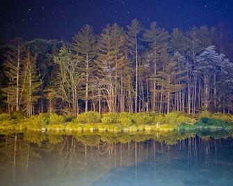 Dark Woods Wallpaper