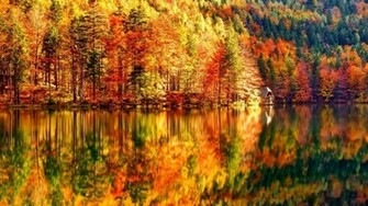 Autumn Landscape Wallpaper