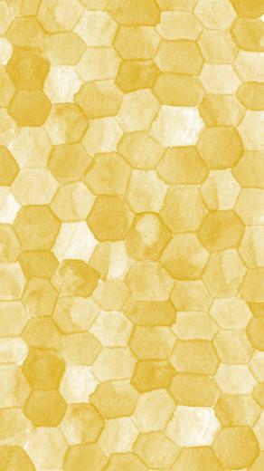 Wallpaper Honeycomb Eva Black Design