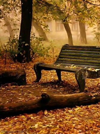 Bench Building Wallpaper City Travel