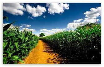 Wallpaper Black Pictures Background Country