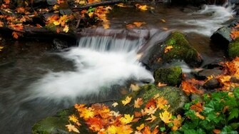 HD Nature 3d Wallpaper 1080p Image Gallery