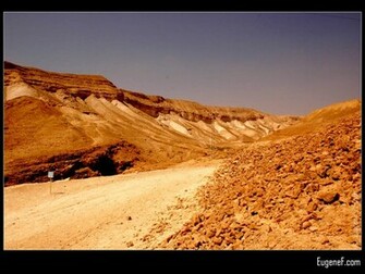 Background Wedding Pics Wallpaper Israeli Desert