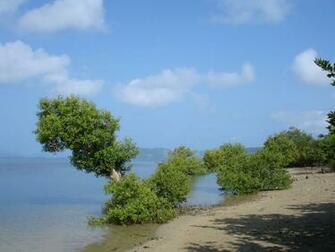 Beautiful Tropical Beaches Beach Scenery Wallpaper Bicol Pacific