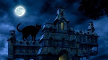 Halloween Black Cat HD Desktop Wallpaper