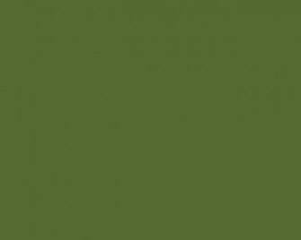 Free Download Free 2560X1600 Resolution Dark Green Solid Color