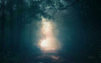 Into The Light Stock Wallpaper By Miguel Santos