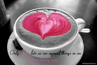 Love Image Quote HD Wallpaper And Background Photos