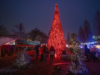 Interactive Christmas Tree Shares The Love Mk Illumination