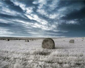 Wallpaper Storm Animaatjes