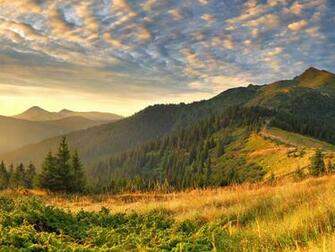 Beautiful Spring Morning Desktop Wallpaper