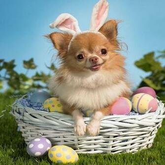 Easter iPad Wallpaper