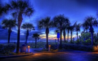 Beach Lights Night Nature Beaches HD Wallpaper