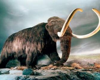 Mammut World Of Animals From The Past HD Wallpaper Wallpaper13