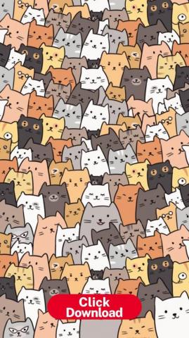 Cat Phone Wallapers HD Wallpaper