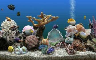 Aquarium Live Wallpaper Pro For Android
