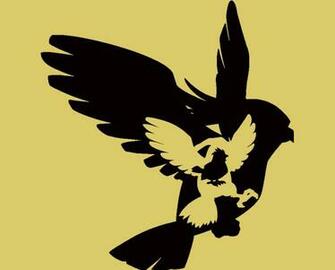 Pidgeotto Pokemon Wallpaper Image